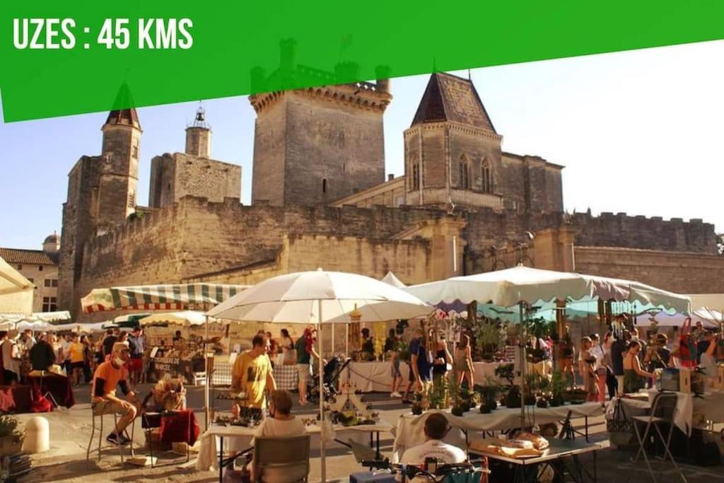 La Balance Des Doms - 1 Min Du Palais Des Papes - Intra-Muros Avignon Ngoại thất bức ảnh